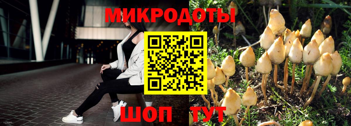 Псилоцибиновые грибы Psilocybine cubensis Белая Калитва